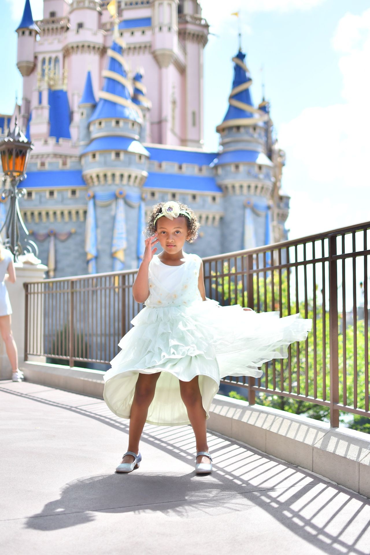 Disney Parks Planning 